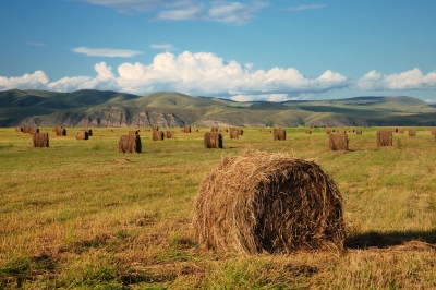 15/365 - Haystacks (Olga Filonenko)  [flickr.com]  CC BY-SA 
Informations sur les licences disponibles sous 'Preuve des sources d'images'