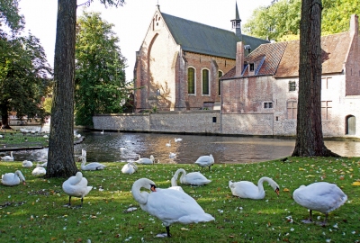 Belgium-6112 - Minnewater (Dennis Jarvis)  [flickr.com]  CC BY-SA 
Informations sur les licences disponibles sous 'Preuve des sources d'images'