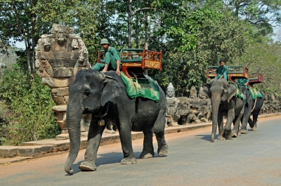 Information climatique Cambodge