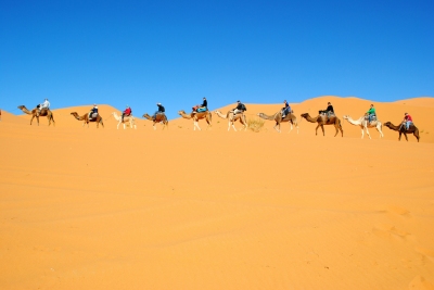 Erg Chebbi (just_a_cheeseburger)  [flickr.com]  CC BY 
Informations sur les licences disponibles sous 'Preuve des sources d'images'