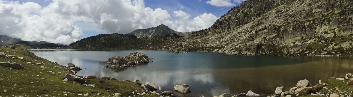 ESTANY DE MONTMALUS 000 (Ferran Llorens)  [flickr.com]  CC BY-SA 
Informations sur les licences disponibles sous 'Preuve des sources d'images'