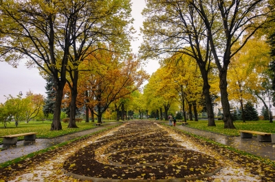 fall foliage in Moscow (Brandon)  [flickr.com]  CC BY 
Informations sur les licences disponibles sous 'Preuve des sources d'images'