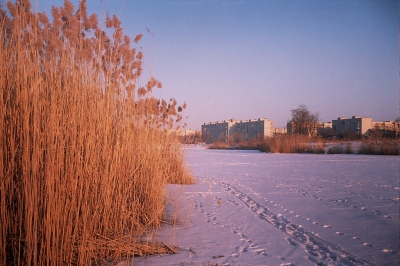 Lomo Landscape (Ilya)  [flickr.com]  CC BY-SA 
Informations sur les licences disponibles sous 'Preuve des sources d'images'