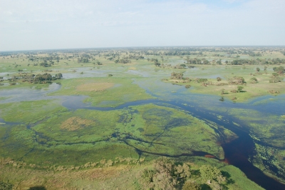 Okavango Delta, Botswana (Joachim Huber)  [flickr.com]  CC BY-SA 
Informations sur les licences disponibles sous 'Preuve des sources d'images'