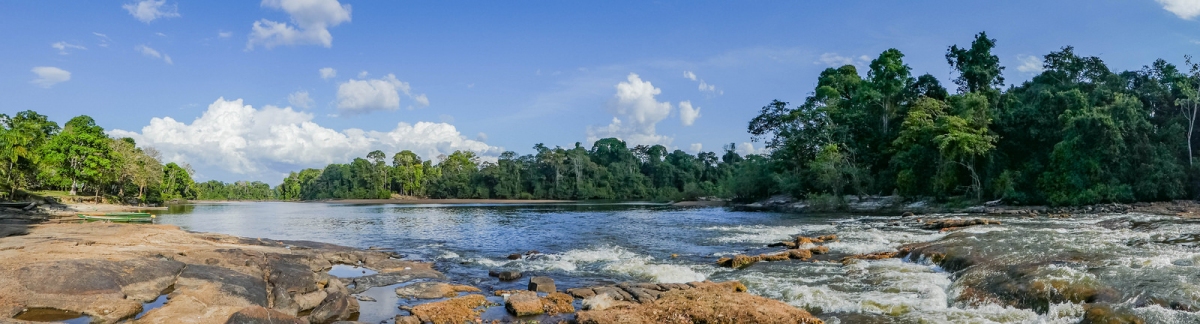 Panoramic view of the Suriname river near Gunsi (-JvL-)  [flickr.com]  CC BY 
Informations sur les licences disponibles sous 'Preuve des sources d'images'