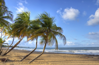 Puerto Rico Beach Scene (Joshua Siniscal)  [flickr.com]  CC BY-ND 
Informations sur les licences disponibles sous 'Preuve des sources d'images'