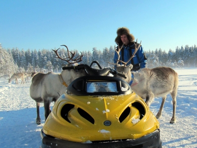 reindeer man feeding the reindeer in Lapland (Heather Sunderland)  [flickr.com]  CC BY 
Informations sur les licences disponibles sous 'Preuve des sources d'images'