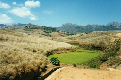 Rice fields and mountains (Leonora Enking)  [flickr.com]  CC BY-SA 
Informations sur les licences disponibles sous 'Preuve des sources d'images'