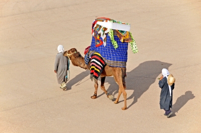 Tunisia-4483 - Camel with a Howdah (Dennis Jarvis)  [flickr.com]  CC BY-SA 
Informations sur les licences disponibles sous 'Preuve des sources d'images'